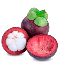 Garcinia Mangostana 