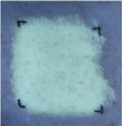 Juste après l'application