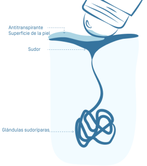 illu-hyperhidrose-01 1