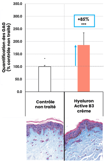 HAB3_crème régénération cellulaire_Résultts pharmaco_Image 1