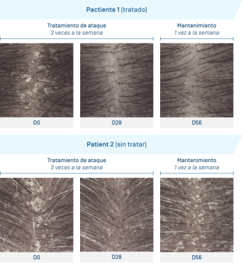 Kertyol shp · Photos illustratives.png