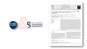 Visuel page gamme XAD pour publication