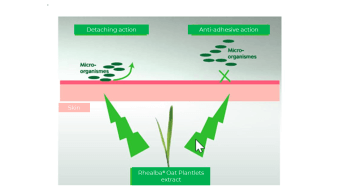 Schéma Ducray 1 (2)