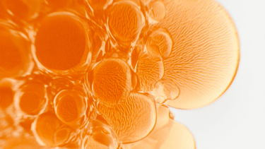 ad_ingredient_helichrysum_full frame_09.2025