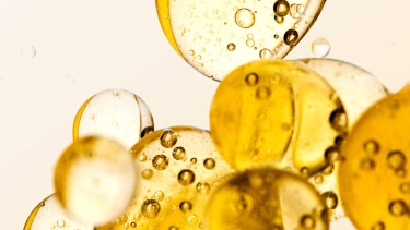 Ingredient TriAsorB