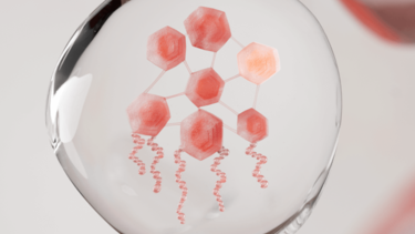 AVENE-ACTIF-IMODULIA